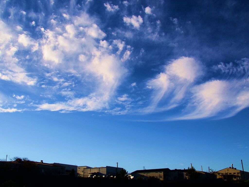 翔雲
