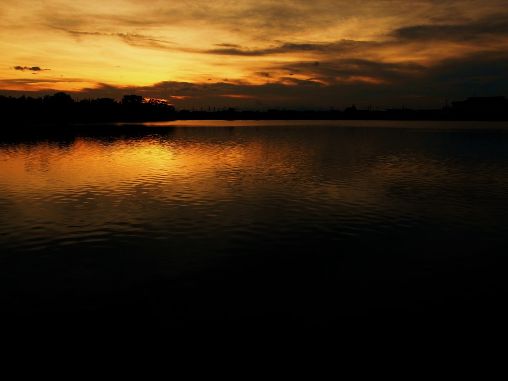夕景