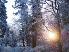 雪の高尾山
