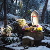 雪の高尾山