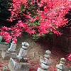 秋の京都