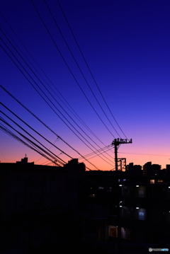 電線