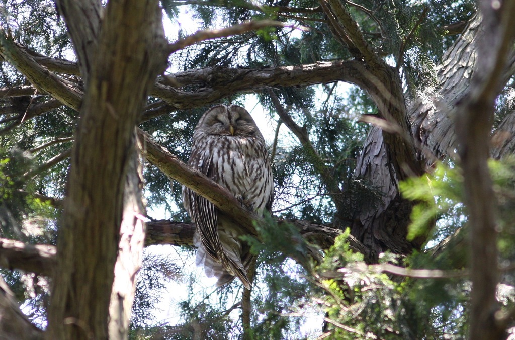 微笑むあなたはどこへ