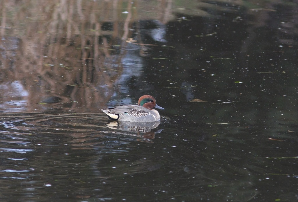 4日ぶりに、そして判明