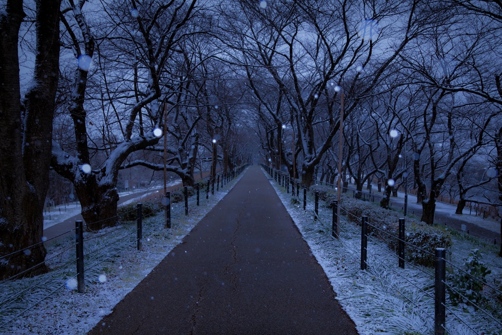 雪