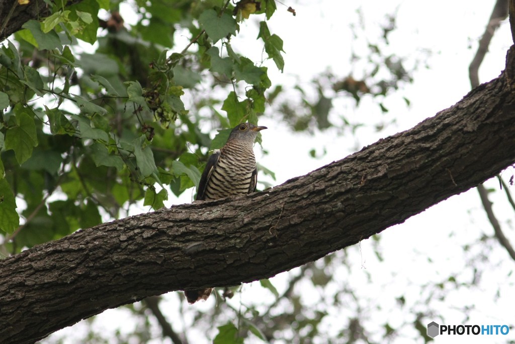 少し空き時間ができたので