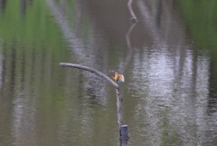 少し暗かった…