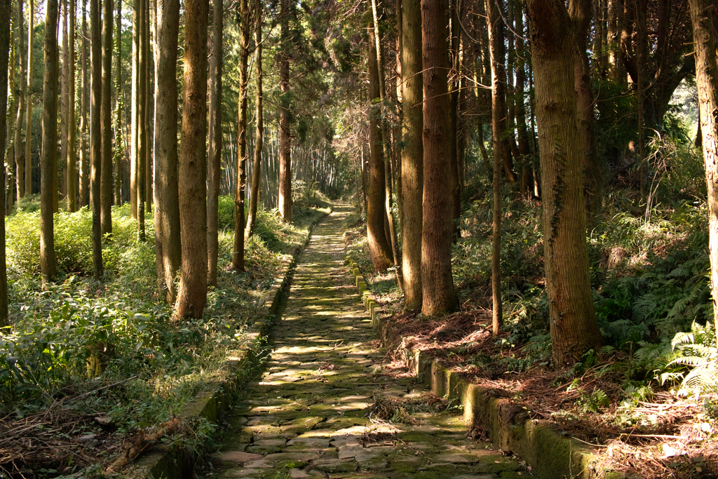 Kusamakura2, Kumamoto