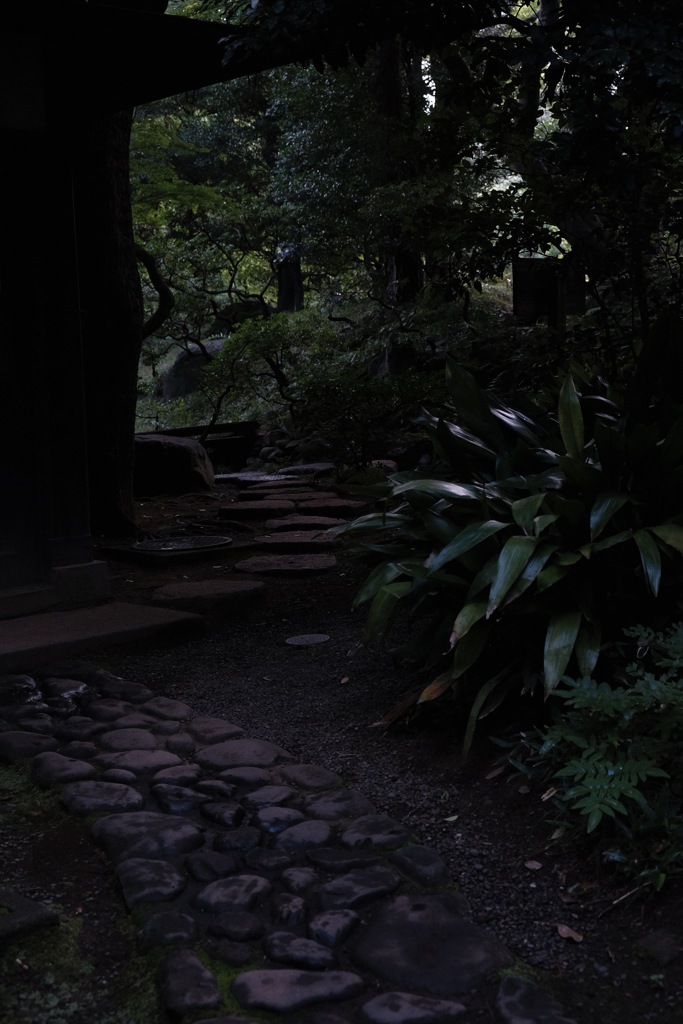 道