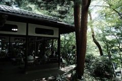 『日陰・日向』