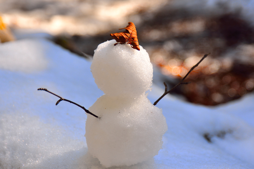 雪だるまつくろ～♡