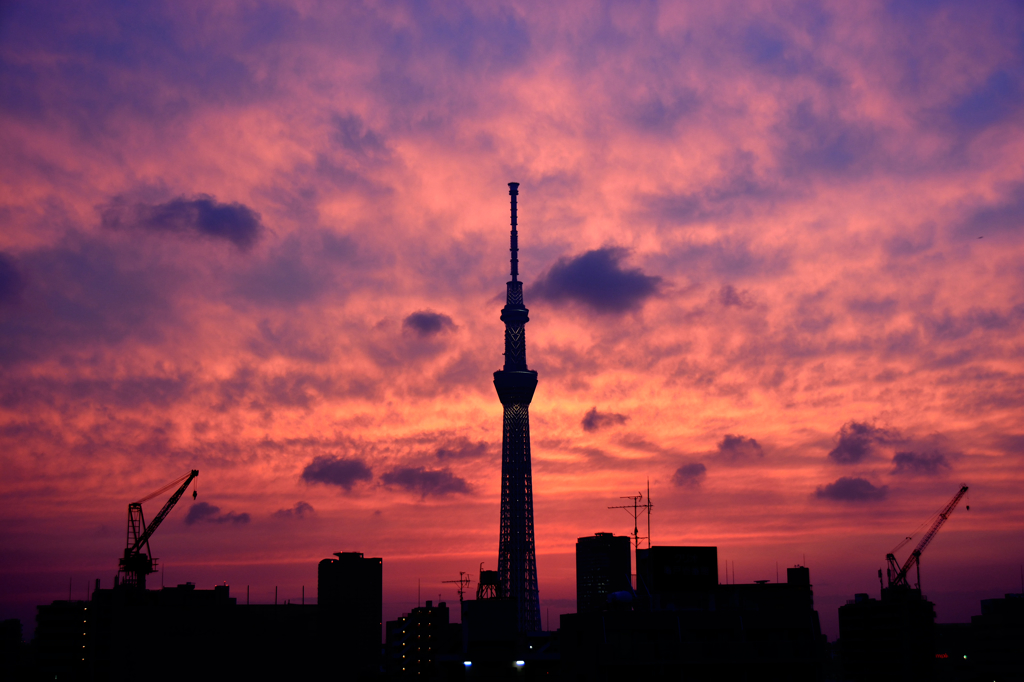 ある日の夕焼け