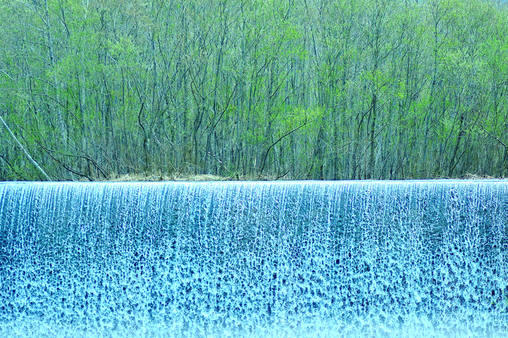 早春の水幕