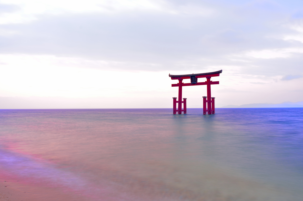 にじ色
