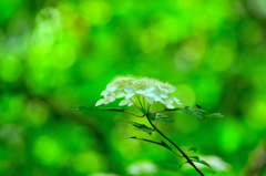 雨あ～め降れふ～れ♡