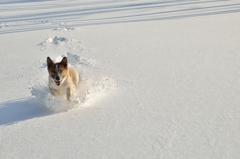 雪遊び