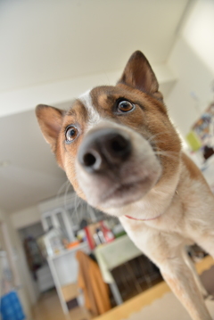 一緒にあそぼ