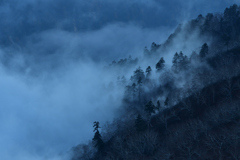 深山幽谷