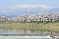 千本桜