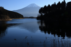 田貫湖の富士山
