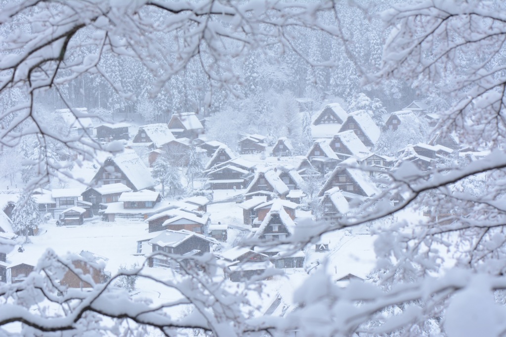 白川郷の眺め