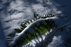 雪の重み