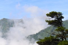 夏山！