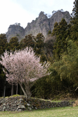 岳