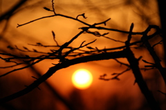 2017年GWコテージからの夕日