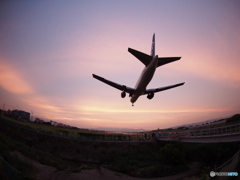 飛魚７６７。