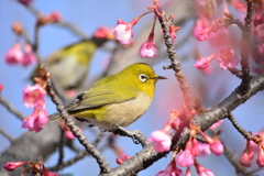 素敵なポーズ