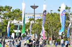 葛西臨海公園・鯉のぼり