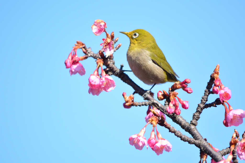 いい眺め