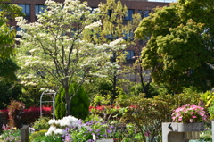 都立木場公園・花の菜園
