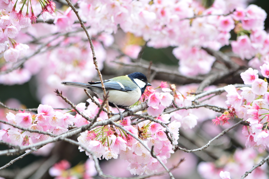 静かに