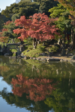 シンメトリー