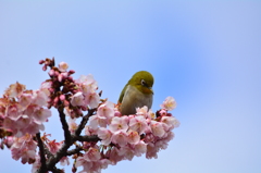 下で何が有るの？