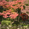 通天橋（定番）