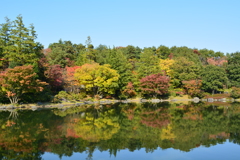 日本庭園からの風景