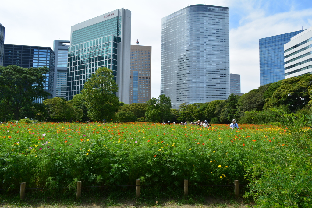 定番の風景