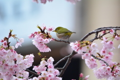 後ろ向きで御免なさい。