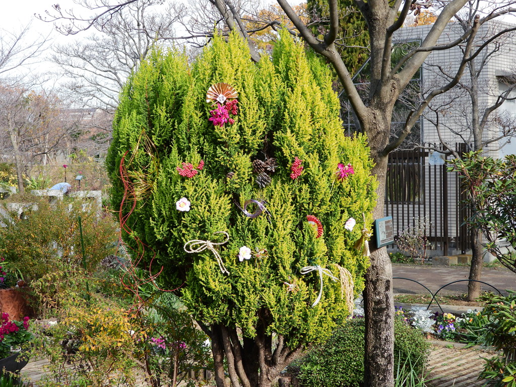 都市緑化植物園のお飾り