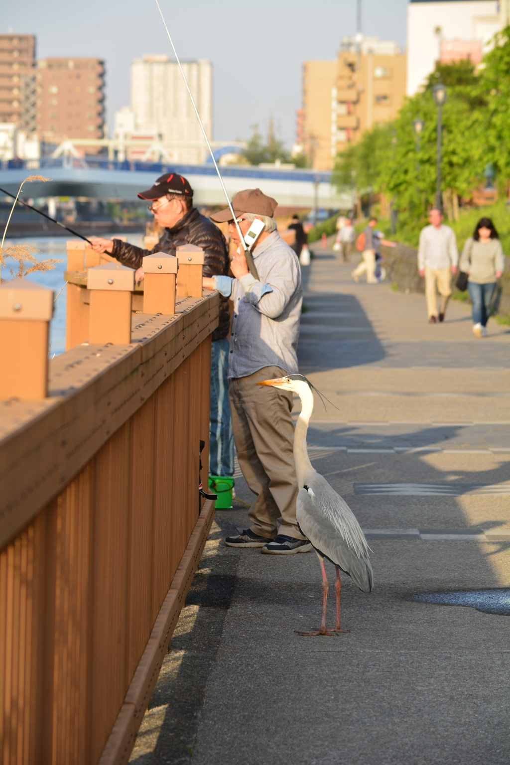 2人の釣り人 アオサギ By Yasud50 Id 写真共有サイト Photohito