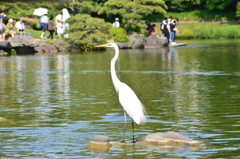 直立不動