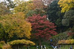 小石川後楽園・紅葉