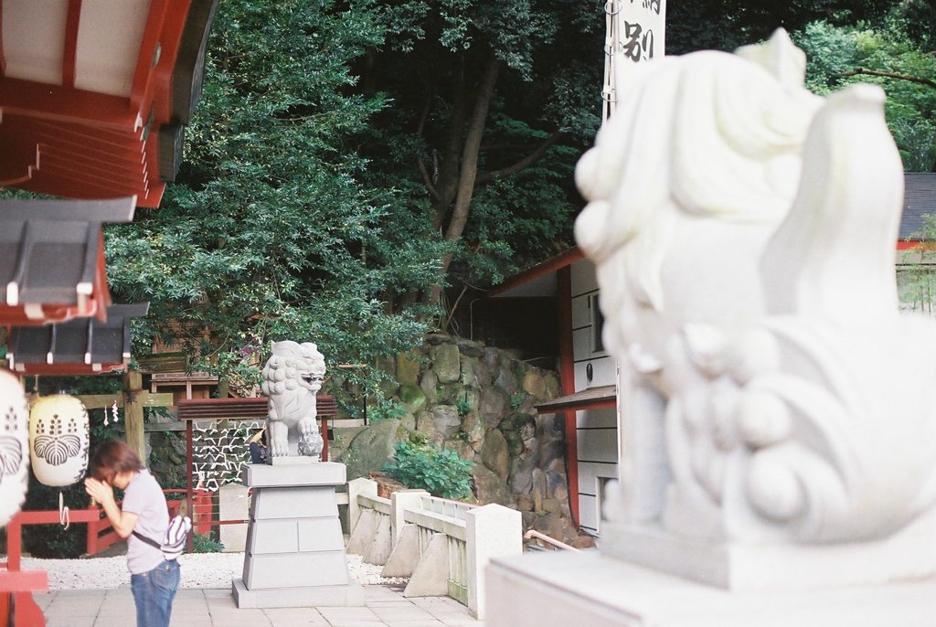 来宮神社にて