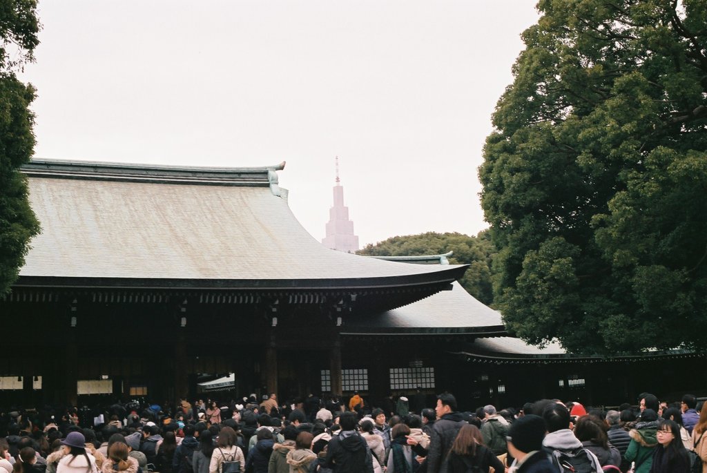 明治神宮にて