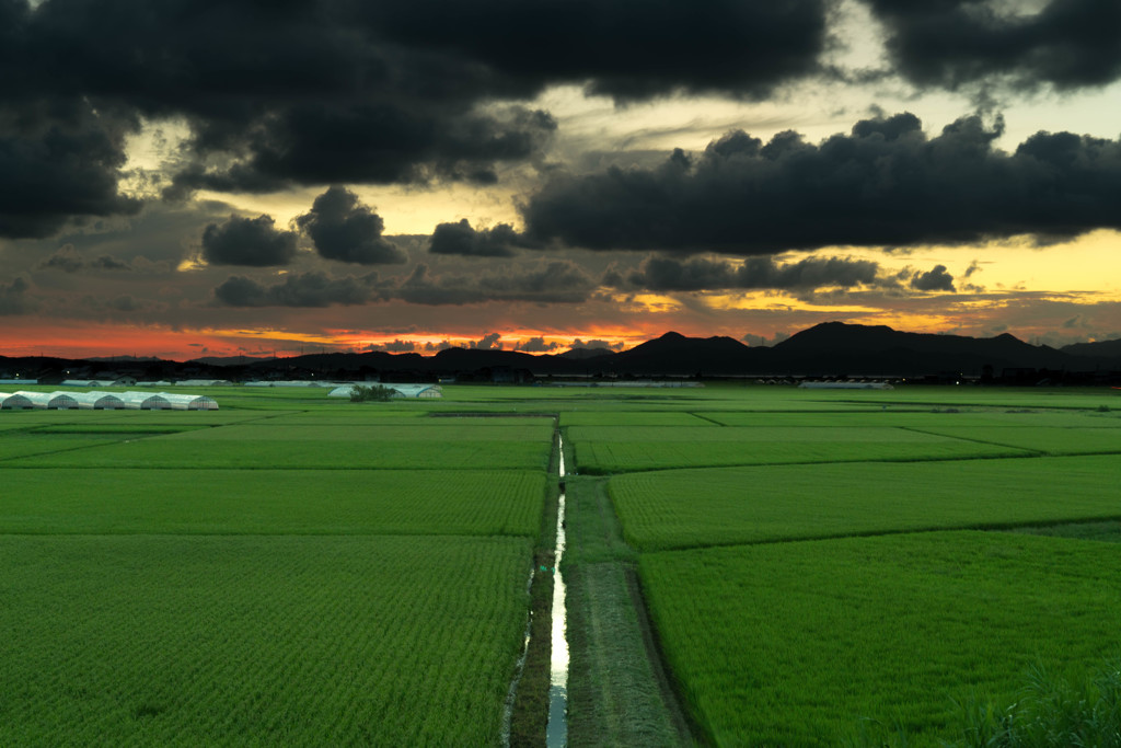 田園夕景