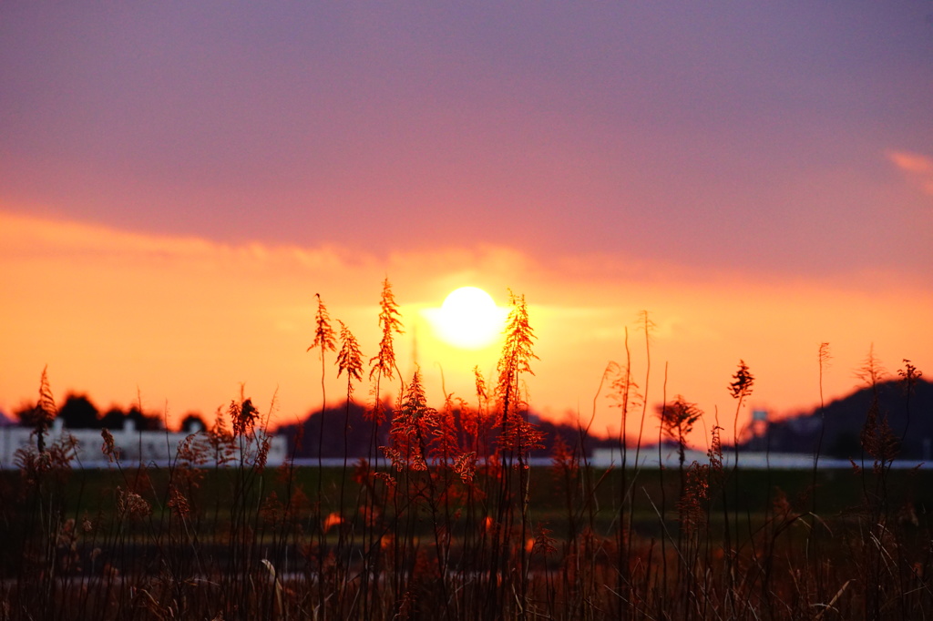 夕日