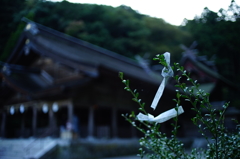 祈る